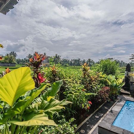 Pondok Anastasia Ubud  Luaran gambar
