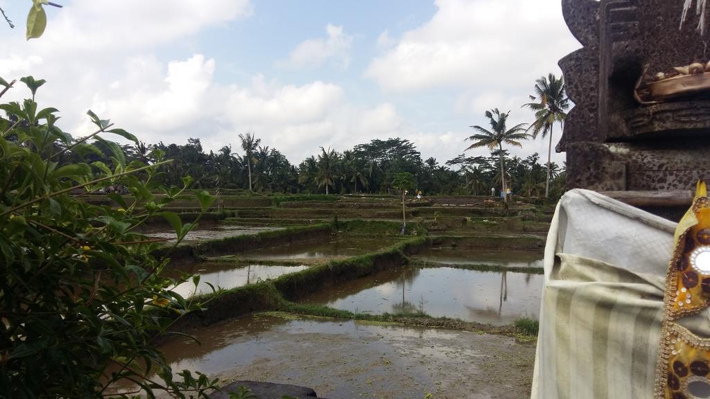 Pondok Anastasia Ubud  Luaran gambar