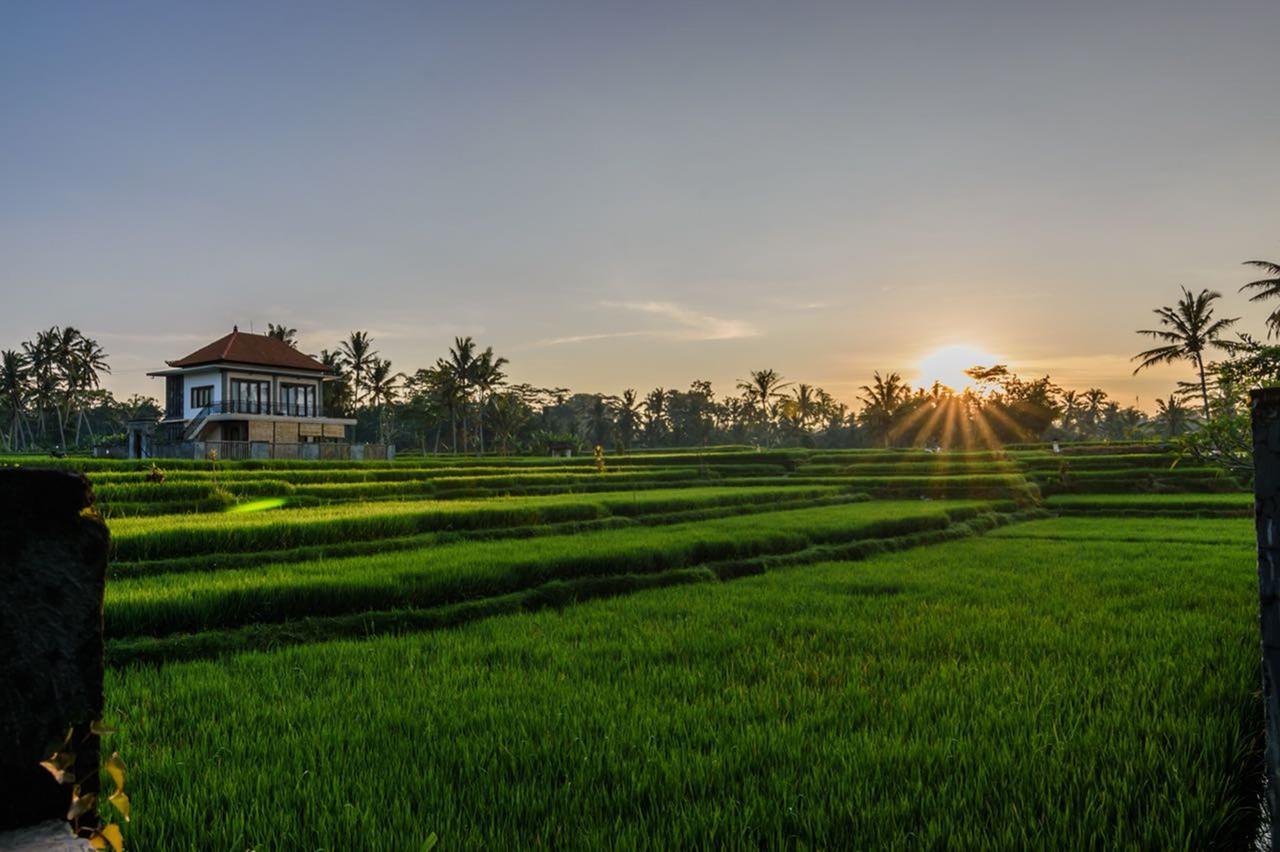 Pondok Anastasia Ubud  Luaran gambar